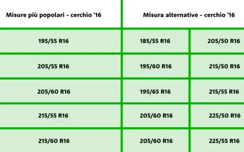 Tabella con misure pneumatici per cerchi da 16 pollici. Elenca misure popolari e alternative, utili per scegliere il giusto indice di velocità t.