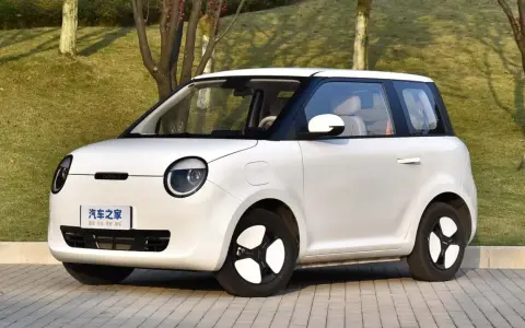 Auto elettrica piccola 4 posti, bianca, con tetto nero, parcheggiata su un vialetto pavimentato con alberi sullo sfondo.