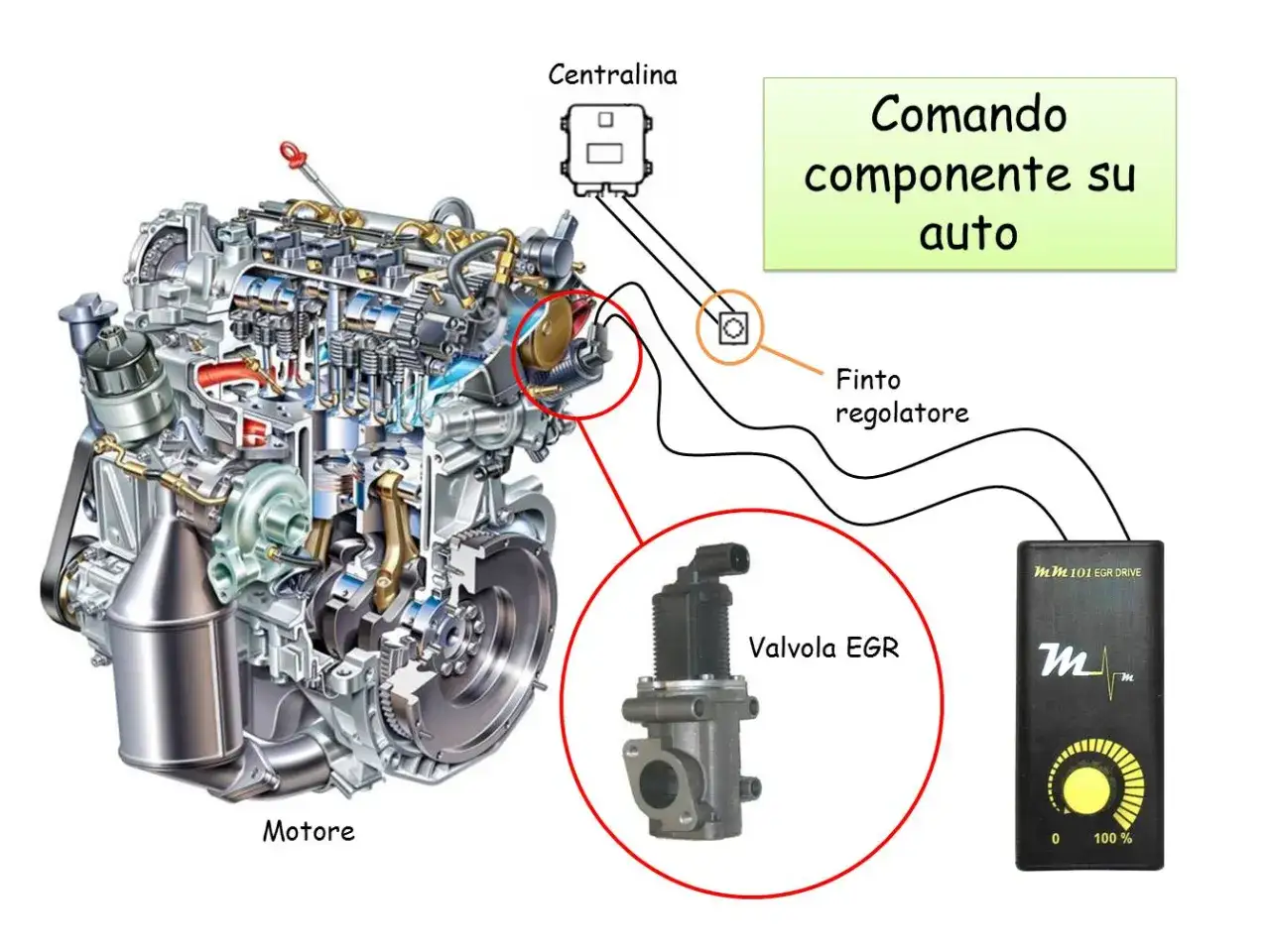 Sezione di un motore con valvola EGR, centralina e finto regolatore. Le punterie motore sono visibili nella sezione interna.